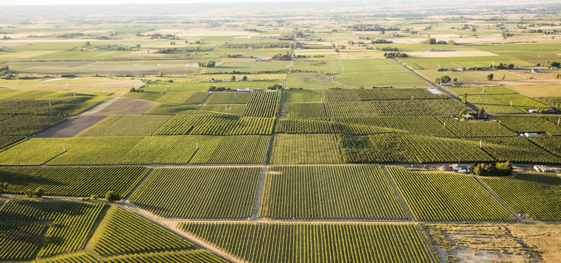 Aerial view of Walla Walla Valley