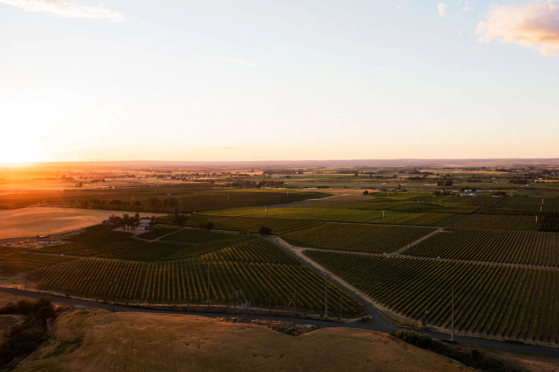 Aerial view of green fields and vineyards at sunset, with scattered buildings and roads, under a clear sky with warm golden light.
